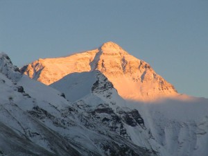 Randi Everest