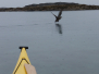 2006-06-18 Steigen