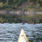 saltstraumen-09-2007-021