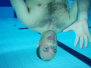 2008-02-24 Basseng