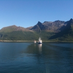 Steigen