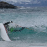 Rulle i bølge i Tysfjord